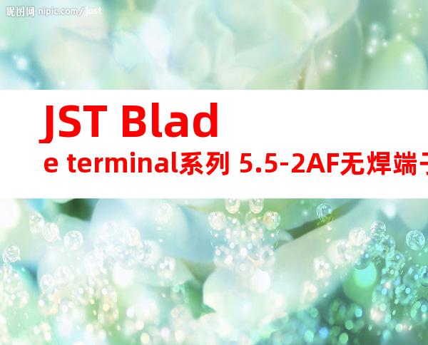 JST Blade terminal系列 5.5-2AF无焊端子产品规格书